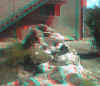 001.jpg (201202 octets)